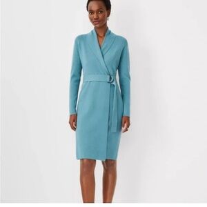 Ann Taylor Oceanside shawl collar belted long Sleeve sweater Dress MP